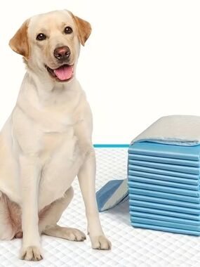 100pcs 23.6 Inch X 23.6 Inch Super Absorbent Dog Urine Pad, Puppy Training